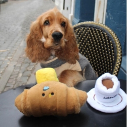 Ollipet Hide-a-Treat | Coffee cup har et hyggeligt design