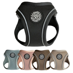 Ollipet For Wagging Tails | Step in Sele