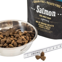 Carnilove Salmon