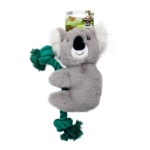 AFP Safari Kevin Koala m. reb